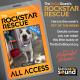 KCSN RockstarRescue PotW 121525 CreateOutlines IG SQUARE 1080x1080