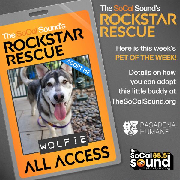 KCSN RockstarRescue WOLFIE 10.30 073025 2 1080x1080