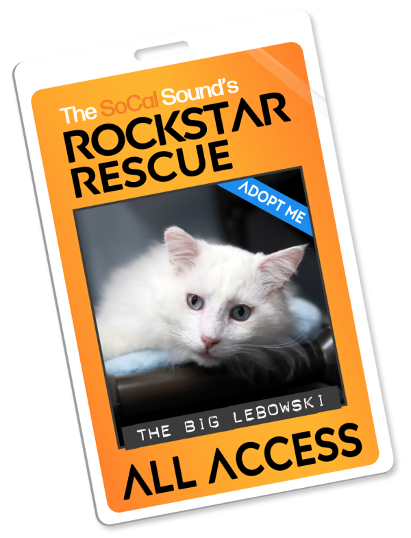KCSN RockstarRescue PotW 012826 Pass