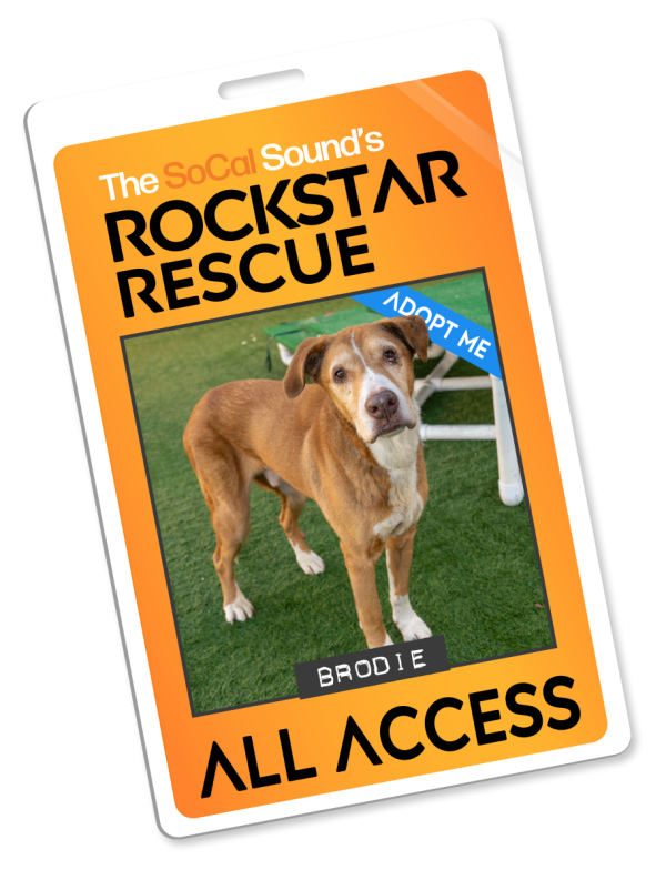 KCSN RockstarRescue PotW 022526 Pass