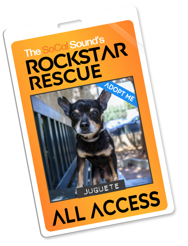 KCSN RockstarRescue PotW 082626 Pass