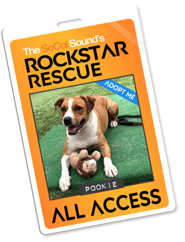 KCSN RockstarRescue PotW 112525 Pass