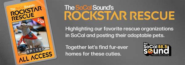 KCSN RockstarRescue General 071425 6 1130x403