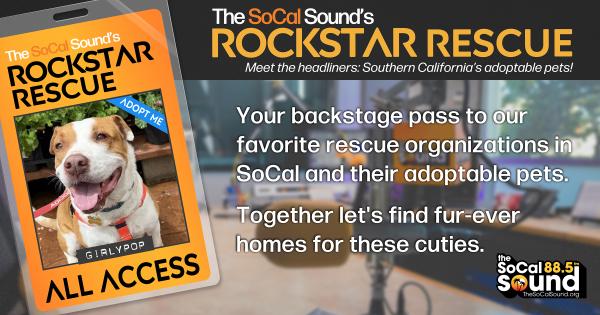 KCSN RockstarRescue PotW 050626 CreateOutlines FACEBOOK 1200x632