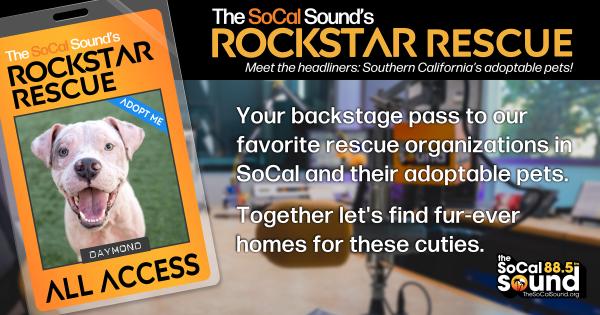 KCSN RockstarRescue PotW 052026 CreateOutlines FACEBOOK 1200x631