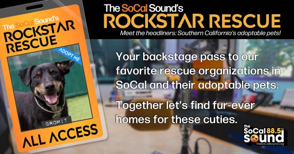 KCSN RockstarRescue PotW 052726 CreateOutlines FACEBOOK 1200x630