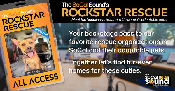 KCSN RockstarRescue PotW 061026 CreateOutlines FACEBOOK 1200x632