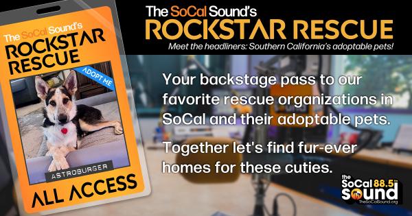 KCSN RockstarRescue PotW 090226 CreateOutlines FACEBOOK 1200x631