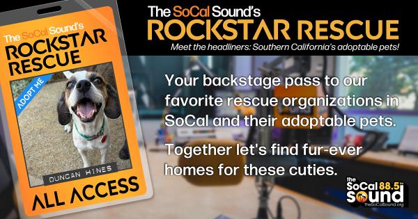 KCSN RockstarRescue PotW 092326 CreateOutlines FACEBOOK 1200x631
