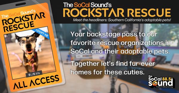 KCSN RockstarRescue PotW 122225 CreateOutlines FACEBOOK 1200x630