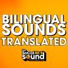 Bilingual Sounds Translated: Diego Lorenzini - La Amenaza