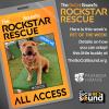 If summer had a mascot, ROCCO would be it! Our PET OF THE WEEK!