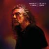 Why Robert Plant Belongs With The Sensational Space Shifters