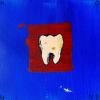 Emo-folk party of two, your table is ready...hey, nothing's "Hound" is our 88-5 ALBUM DIVE!